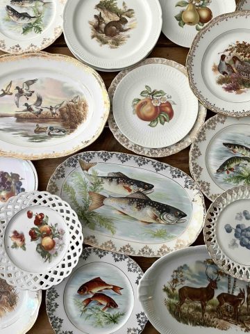 Verzameling fruit, wild en visservies